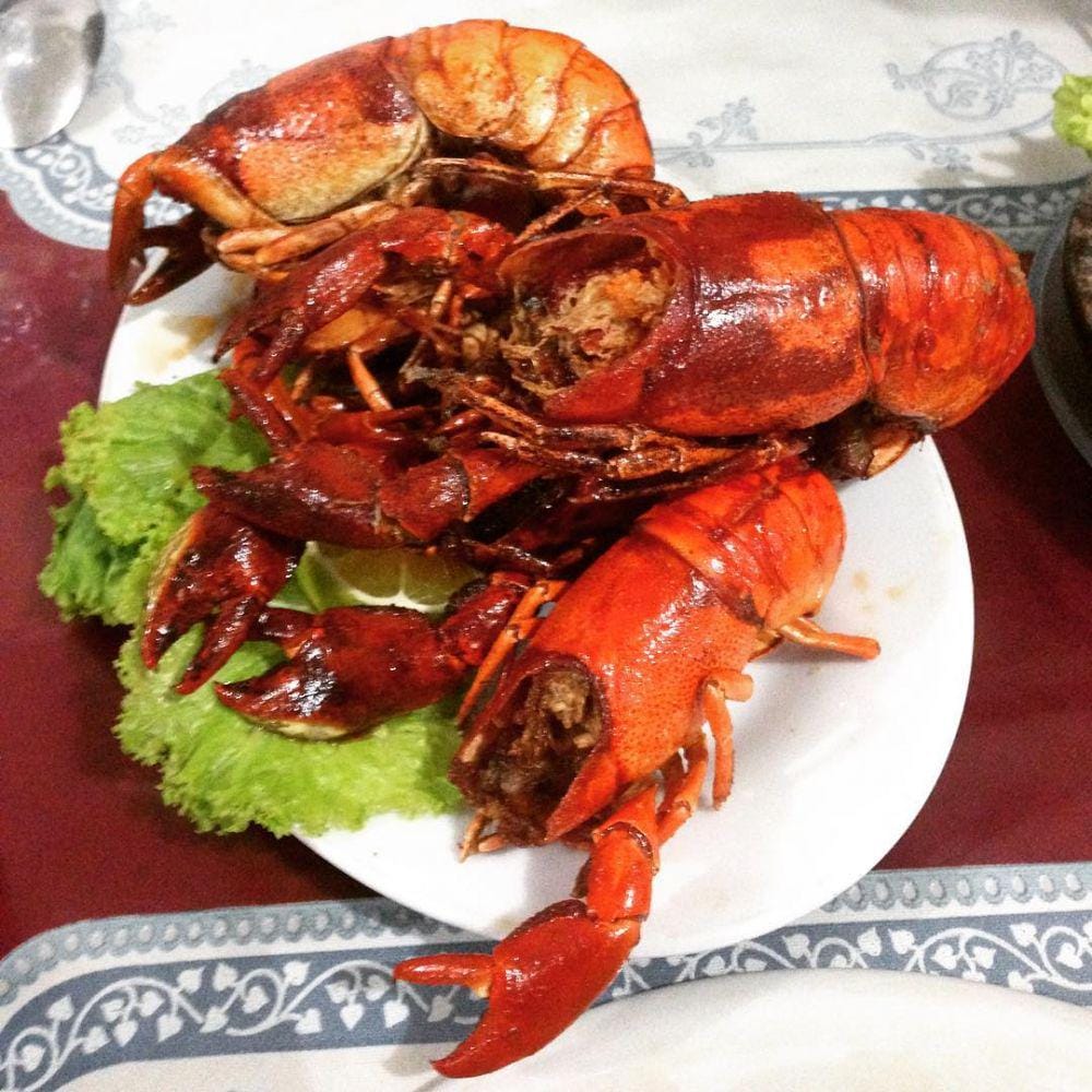 instagram.com/aidan_darwinds