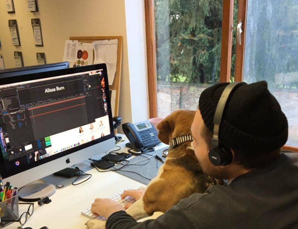 spottydogcommunications.com