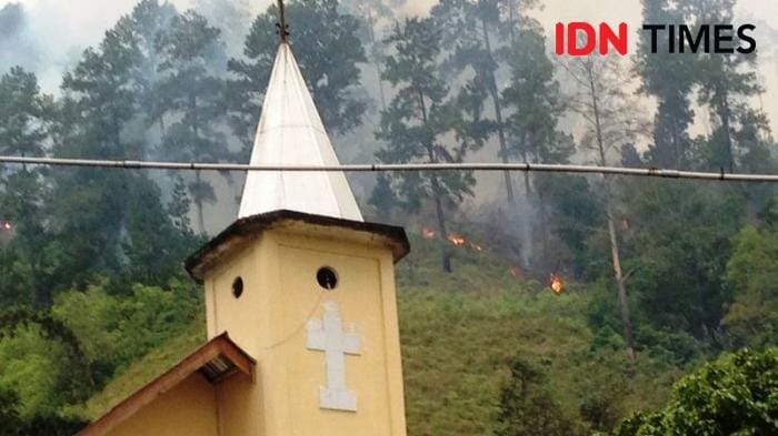 (Ilustrasi Karhutla) IDN Times/Arifin Al Alamudi