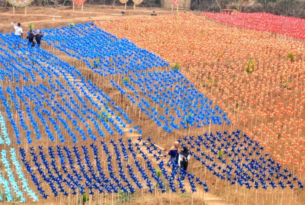 IDN Times/ Alfi Ramadana