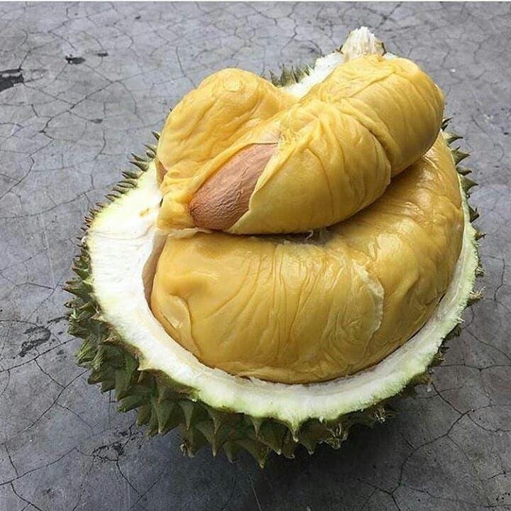 Instagram.com/khairul_azmy_19_89