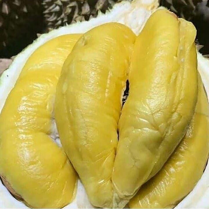 Instagram.com/ khairul_azmy_19_89