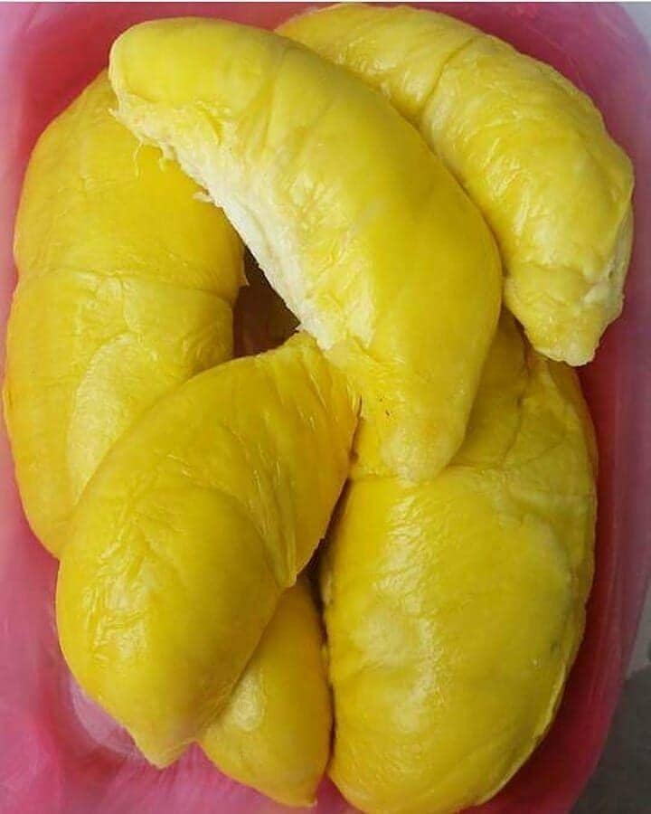 Instagram.com/mknenk