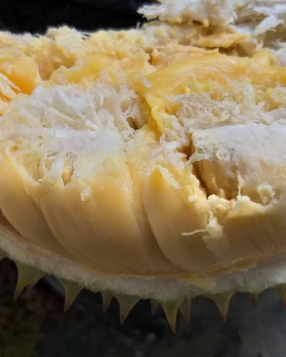 Instagram.com/cendol_durian13