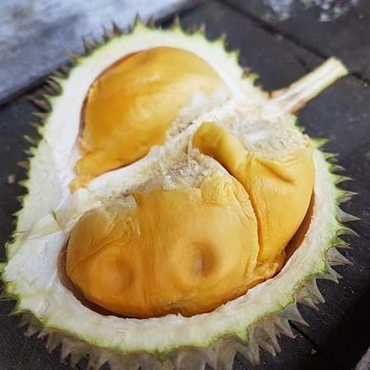 Instagram.com/rajanya_durianmedan