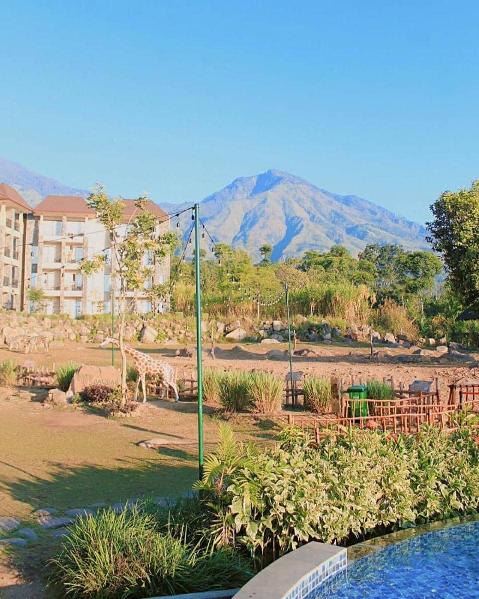 instagram.com/ariana_arriana