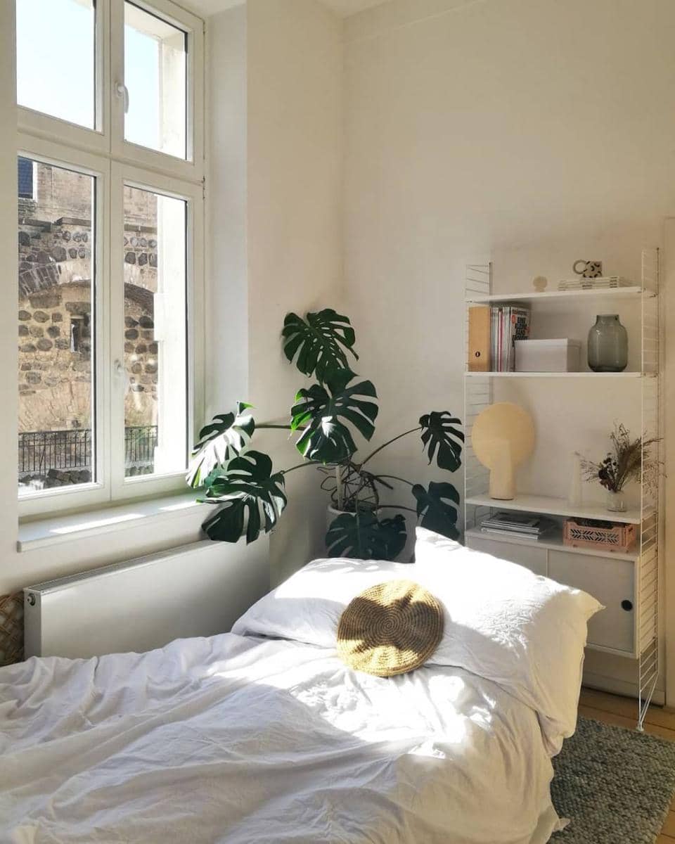 instagram.com/noranilpferd