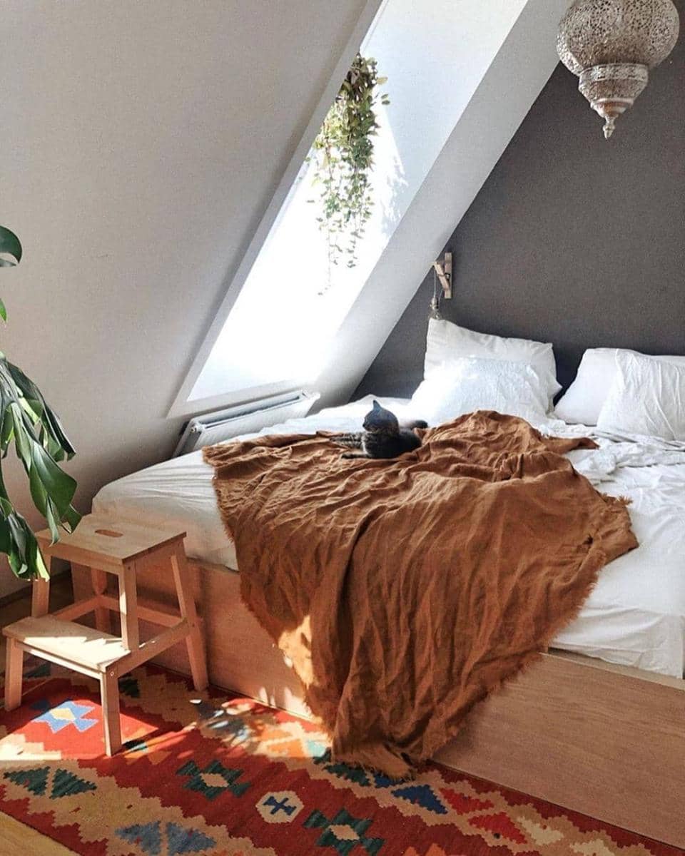 instagram.com/solebich