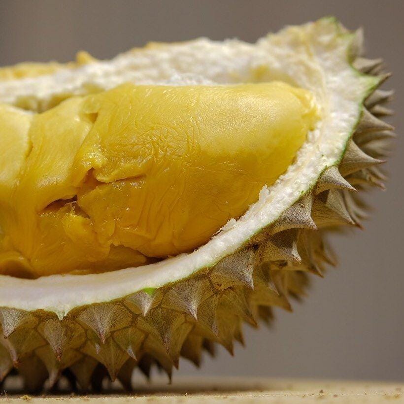 Instagram.com/9211lcw