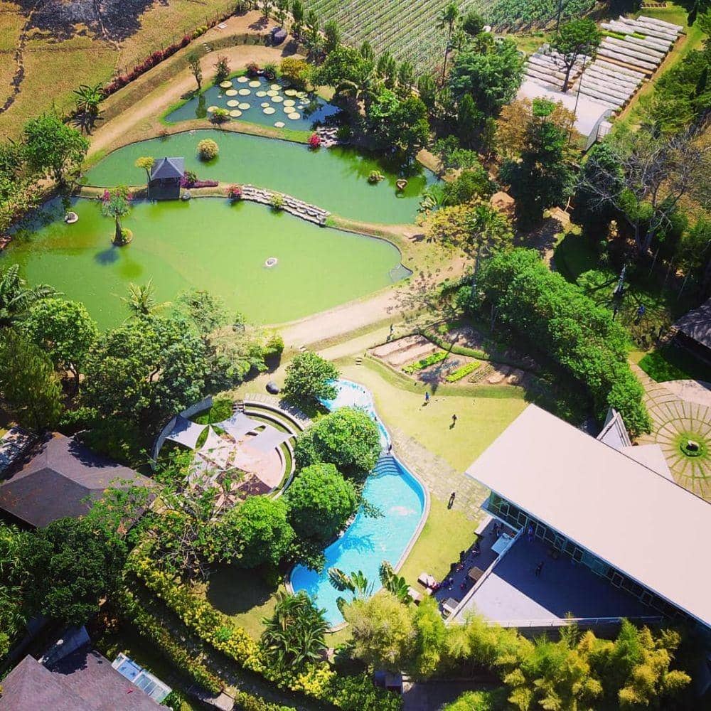 instagram.com/vindo_dewadwiharto