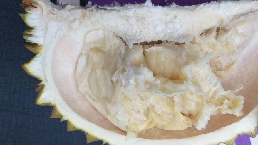 Instagram.com/jamiatunns