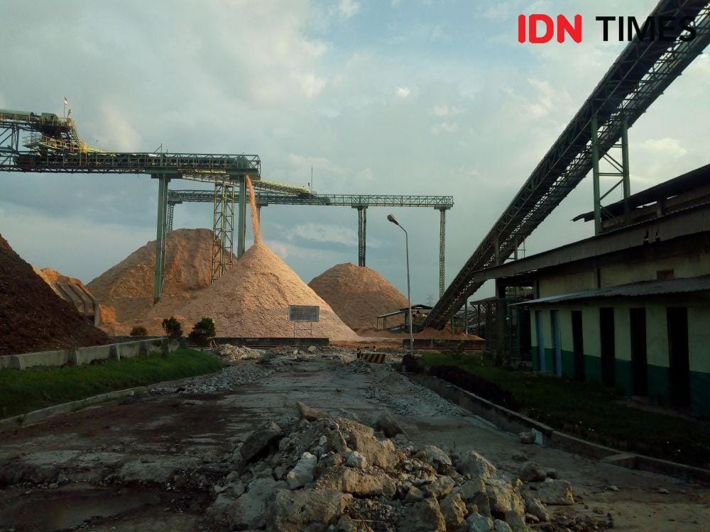 IDN Times/Arifin Al Alamudi