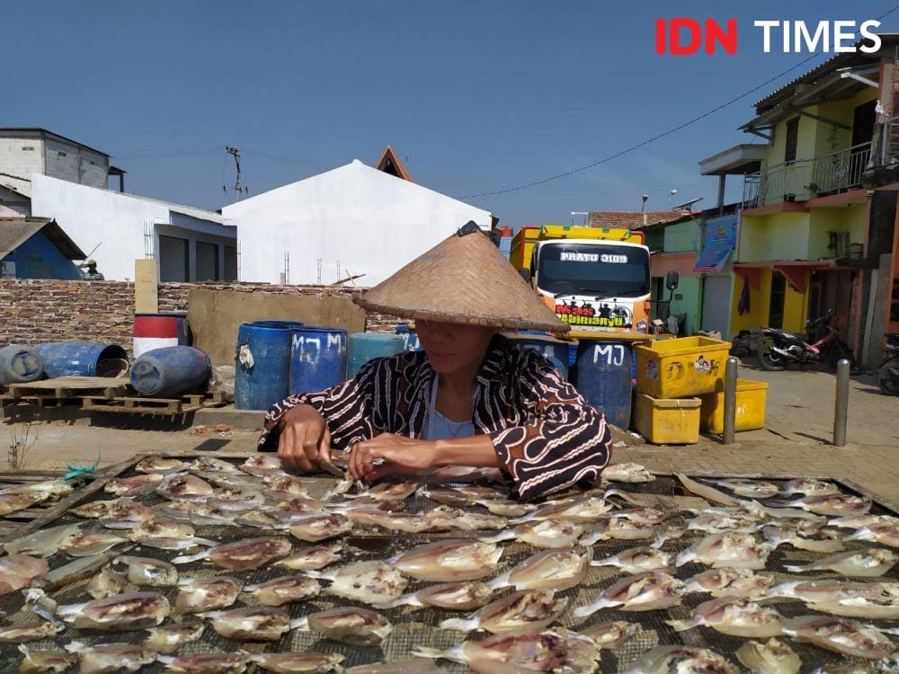 IDN Times/Fariz Fardianto
