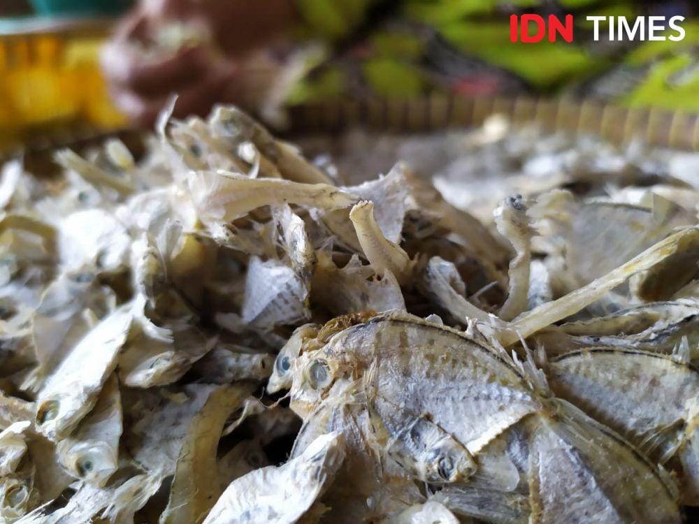 IDN Times/Fariz Fardianto