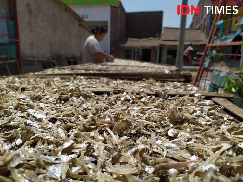 IDN Times/Fariz Fardianto