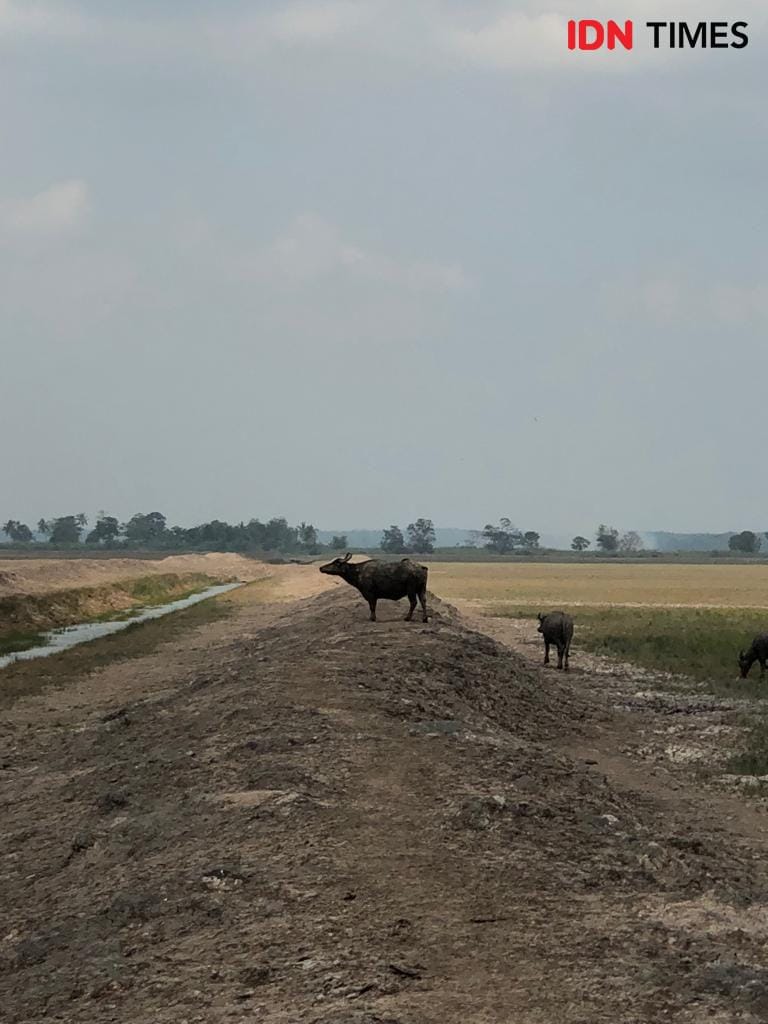 IDN Times/Rangga Erfizal