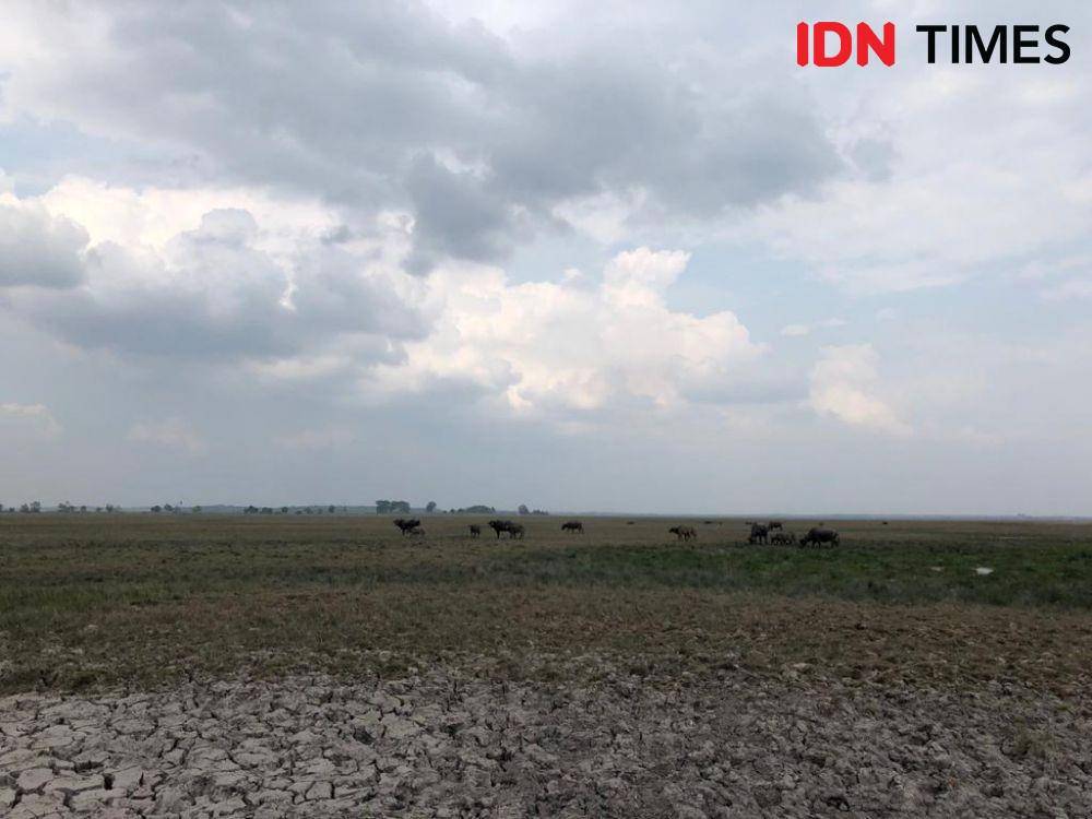IDN Times/Rangga Erfizal