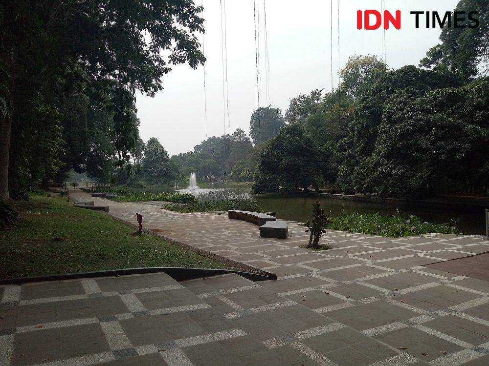 IDN Times/Lazuardi Putra