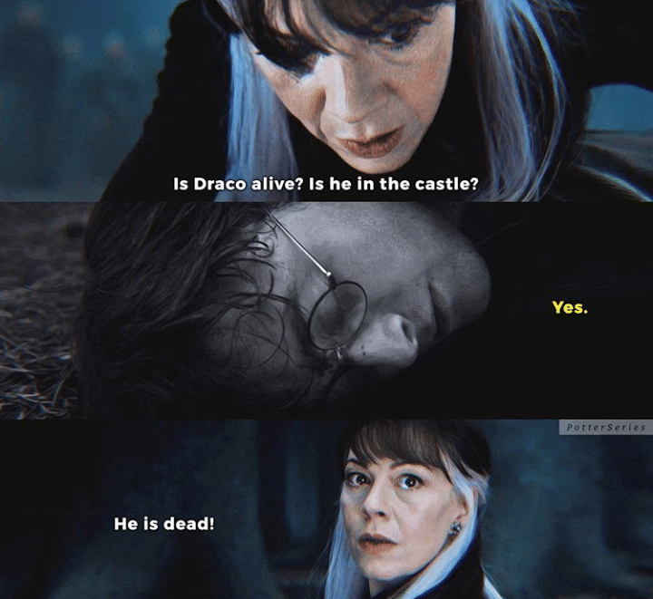 instagram.com/potterseries