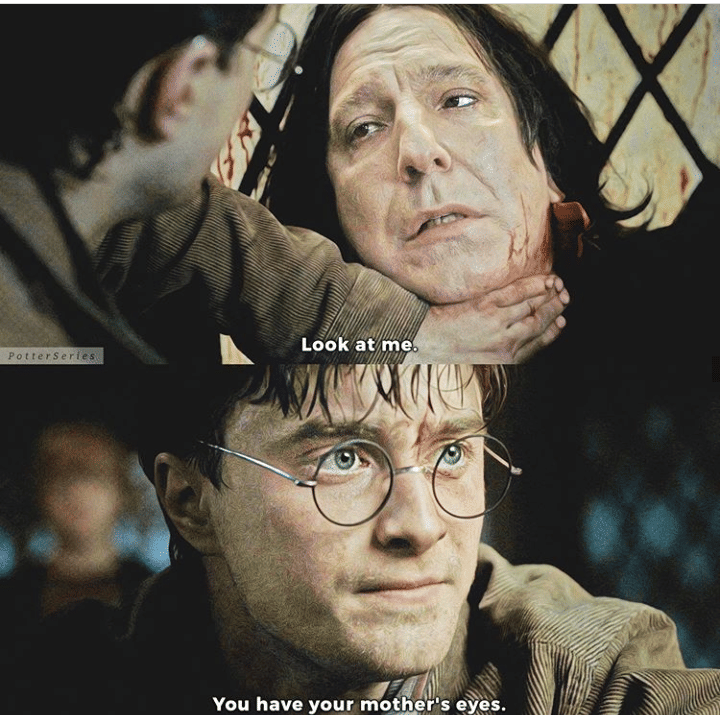 instagram.com/potterseries