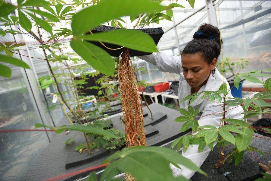 blog.ciat.cgiar.org