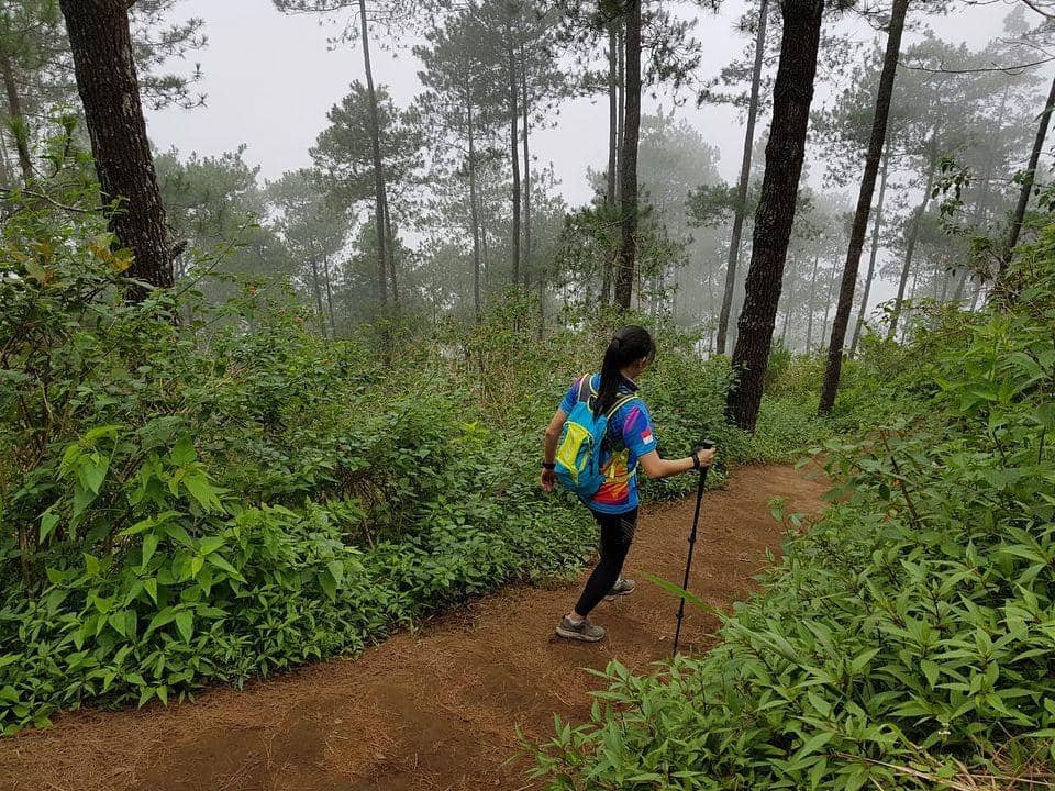 instagram.com/aimutz