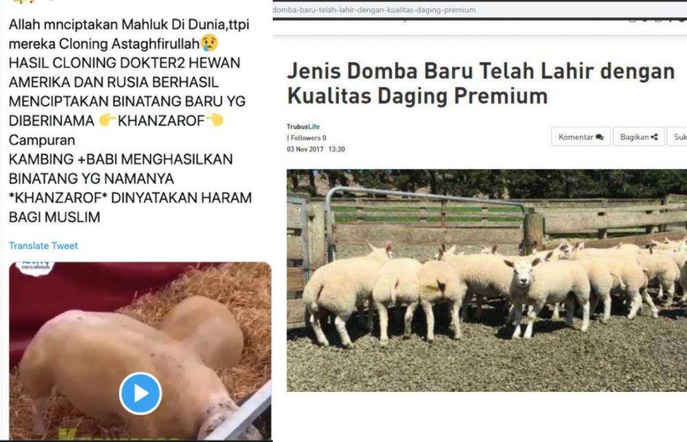 turnbackhoax.id