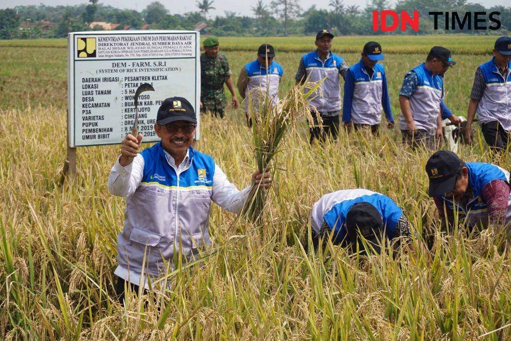 IDN Times/Dhana Kencana