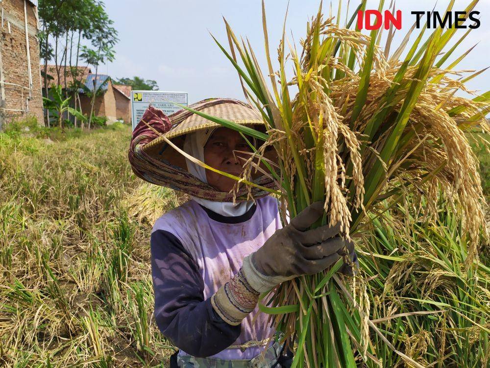 IDN Times/Dhana Kencana