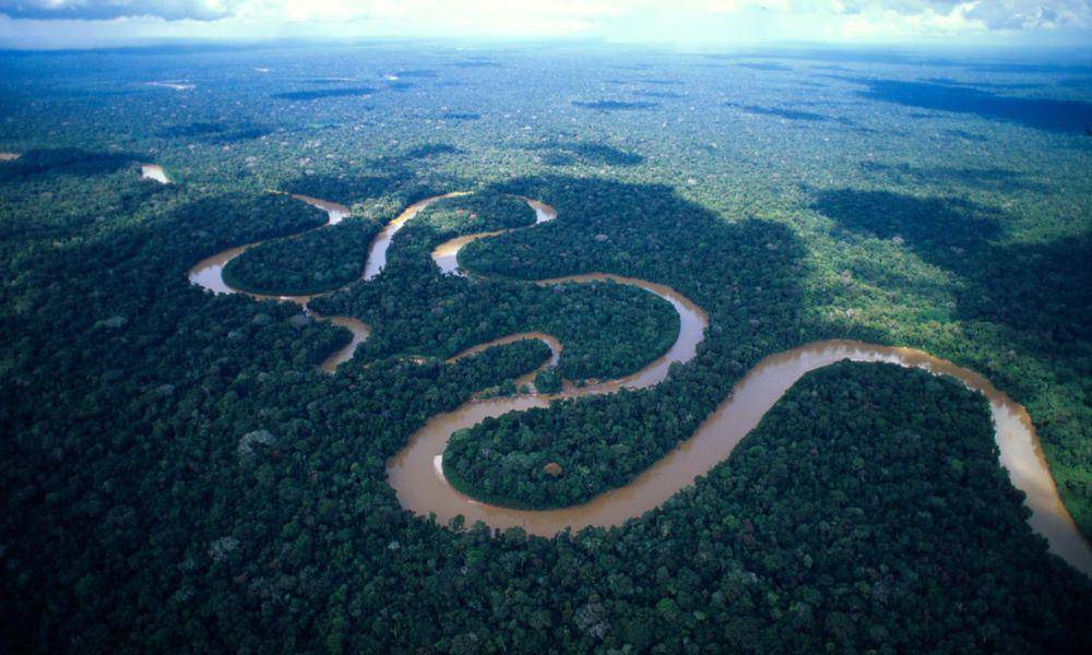 worldwildlife.org