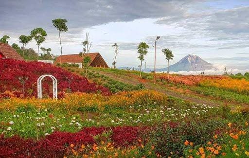 Dok/Blogspot Taman Madu Efi