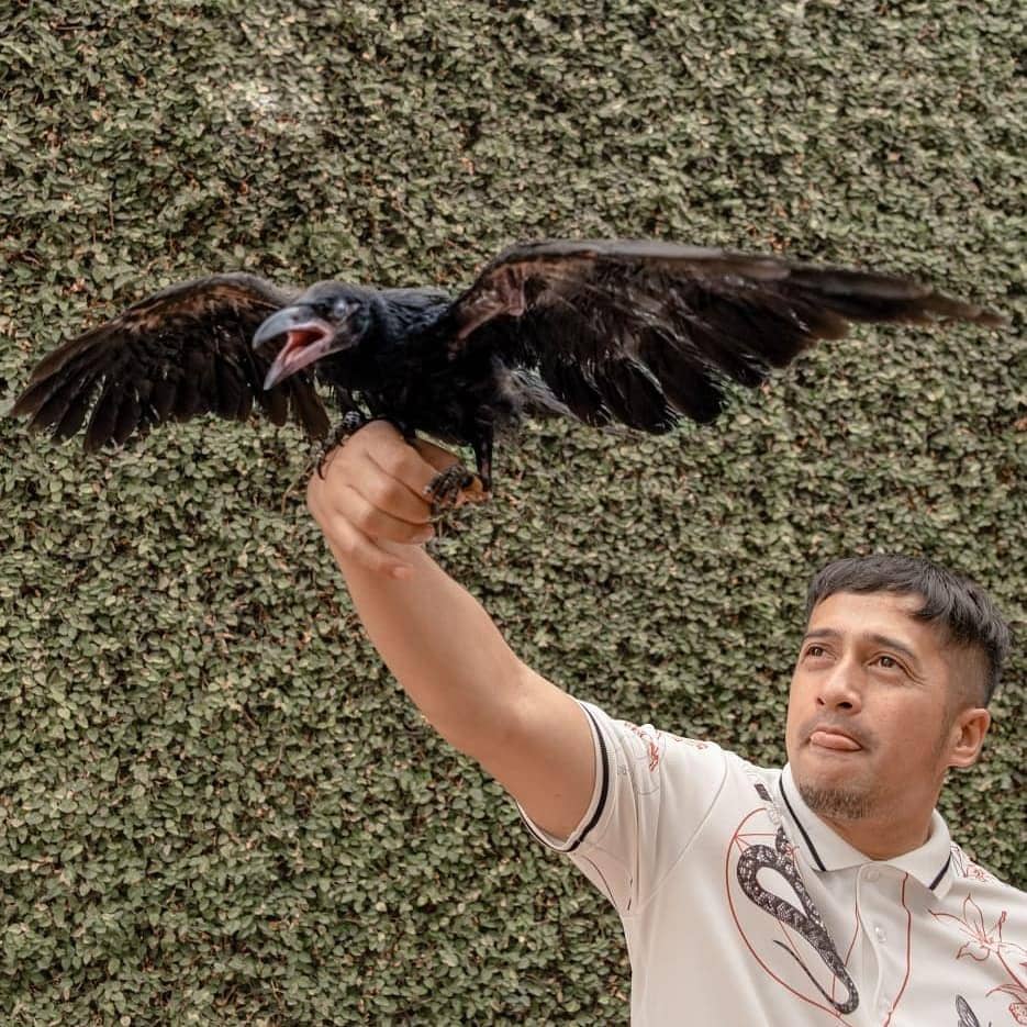 Instagram.com/irfanhakim75