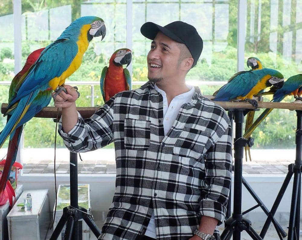 Instagram.com/irfanhakim75