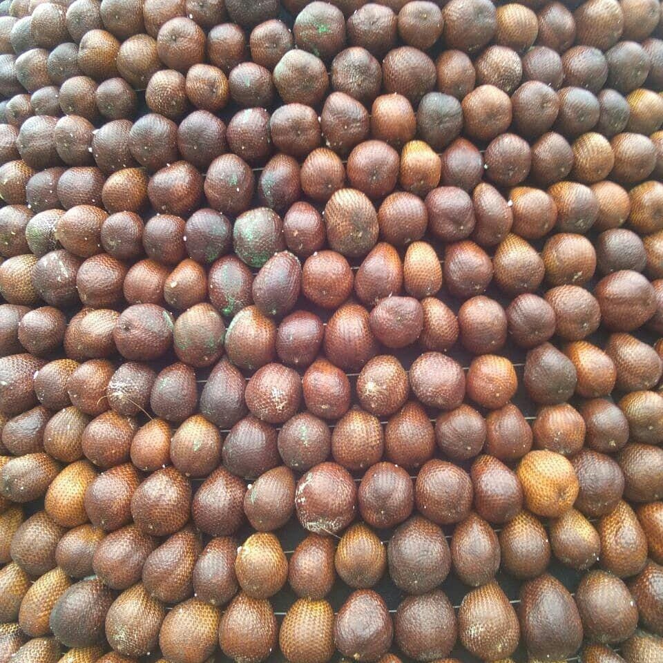 instagram.com/sutiknoz_agus