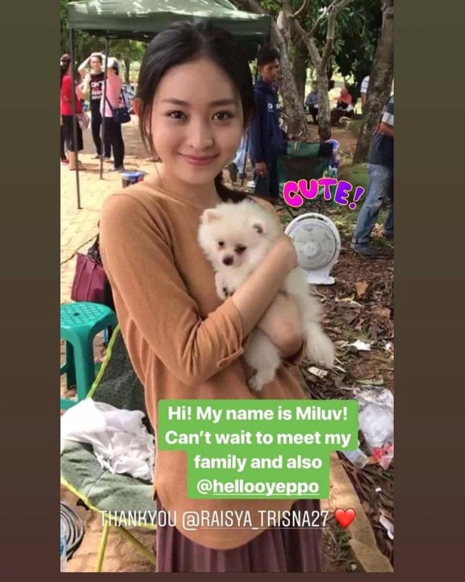 instagram.com/galeri_trhowback