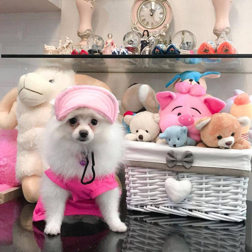 instagram.com/natashawilona12