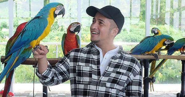 Instagram.com/irfanhakim75