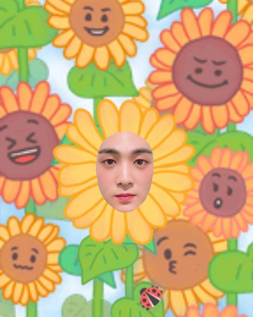 Instagram.com/pockyjr