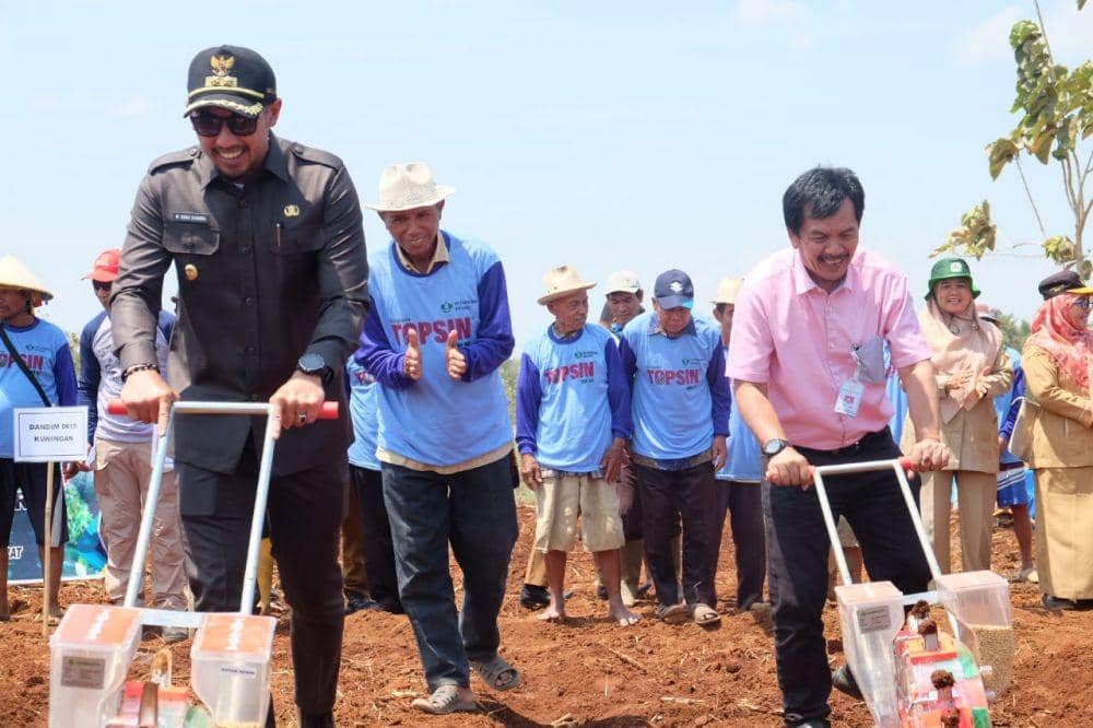 IDN Times / Istimewa