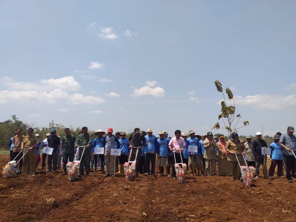 IDN Times / Istimewa