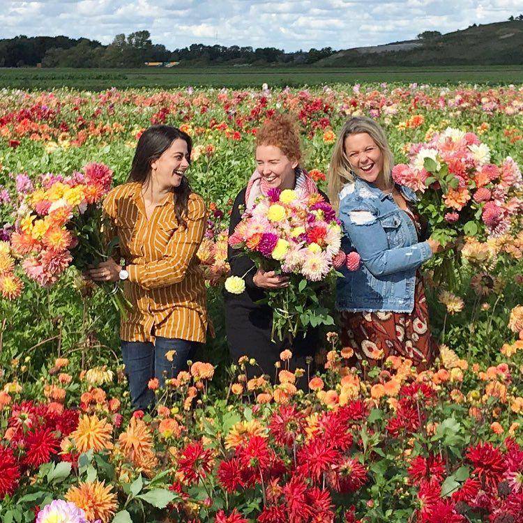 Instagram/fam flower farm