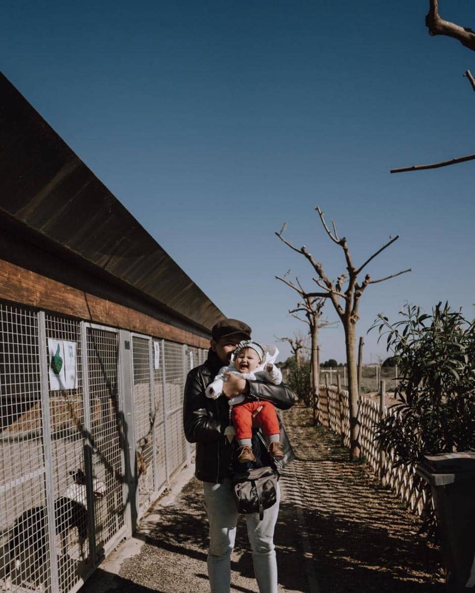 Instagram.com/tail_wagging