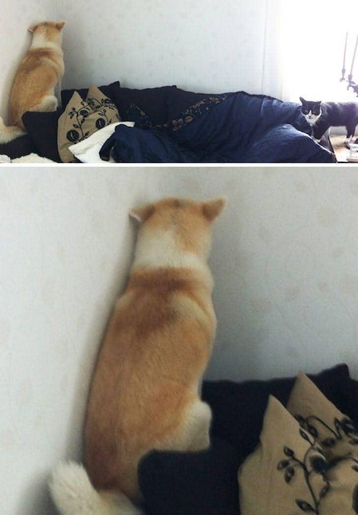 tumblr.com/© juu-arts