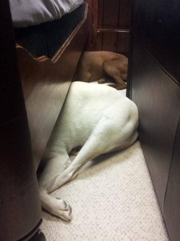 reddit.com/© out_of_816