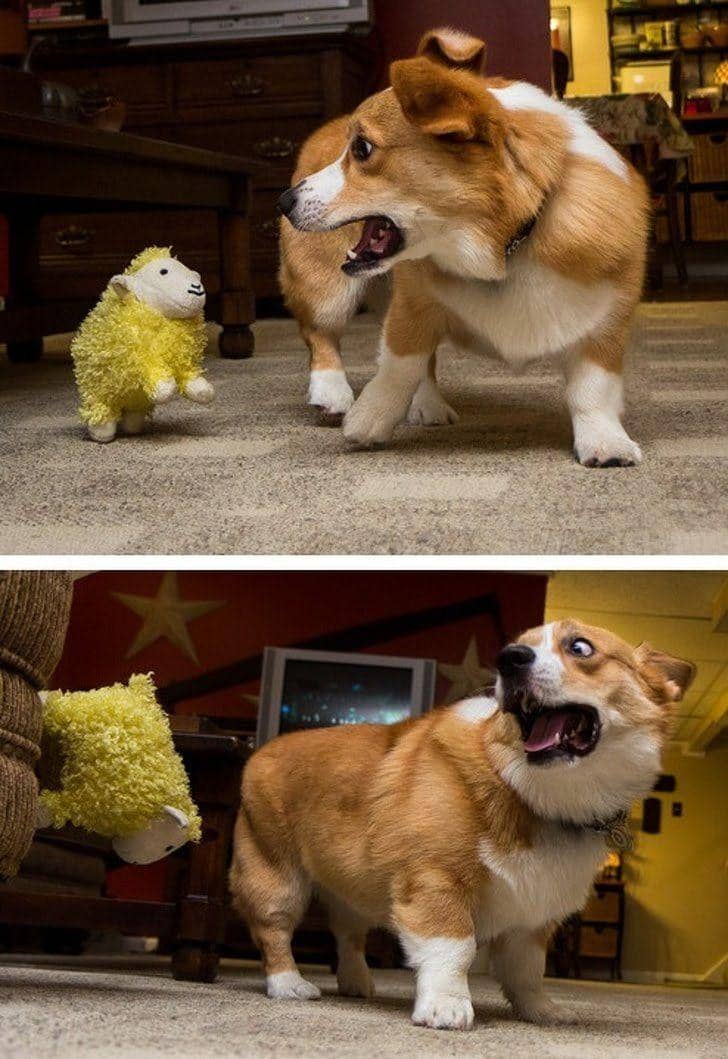 reddit.com/© legitschooling