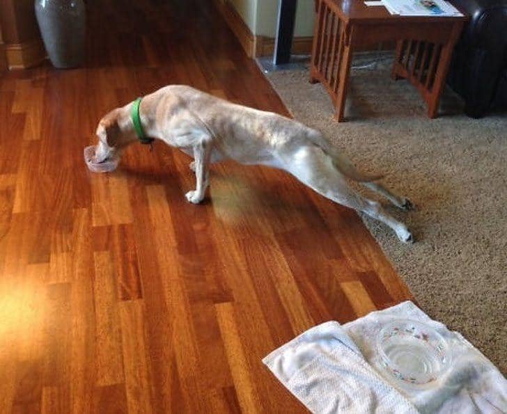 reddit.com/© bsmnproductions