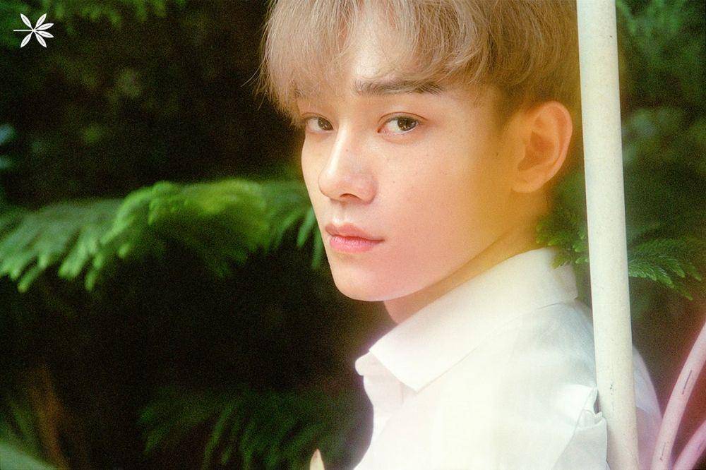 Soompi.com
