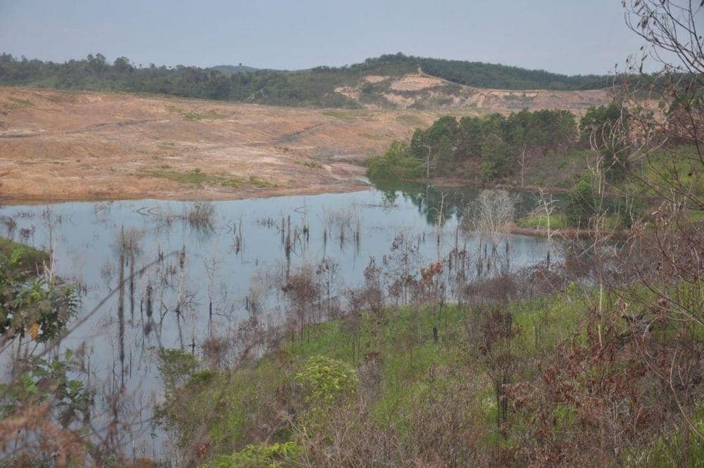 Dok.IDN Times/Istimewa