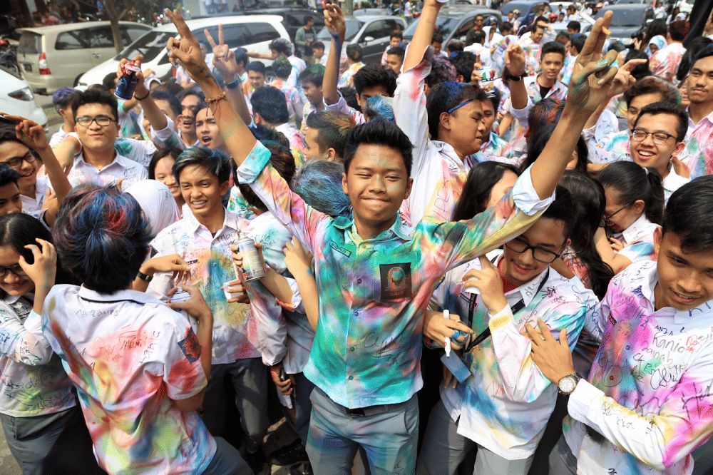 damniloveindonesia.com