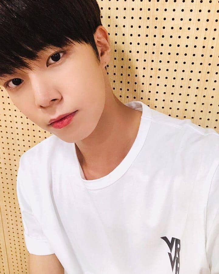 Instagram.com/verivery.jellyfish